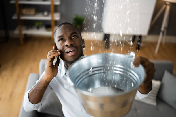 Best 24/7 water damage repair  in Schnecksville, PA