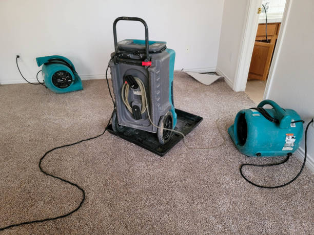 Best Sewage cleanup and water damage restoration  in Schnecksville, PA