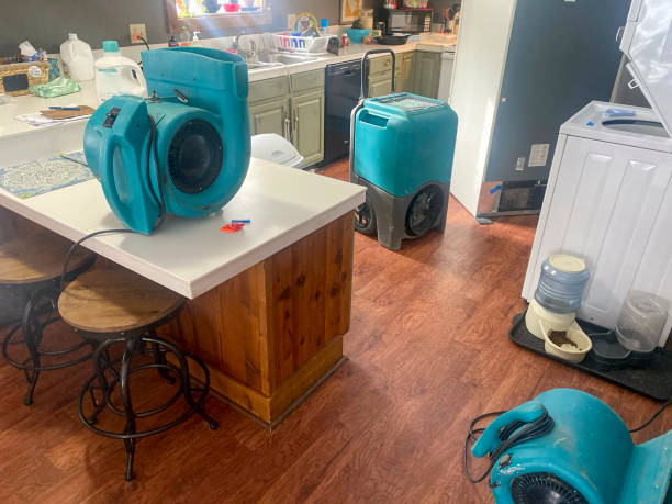 Best 24-hour water damage restoration  in Schnecksville, PA