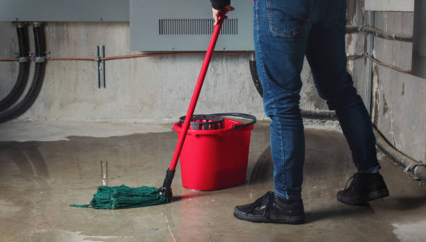 Best Water damage restoration near me  in Schnecksville, PA