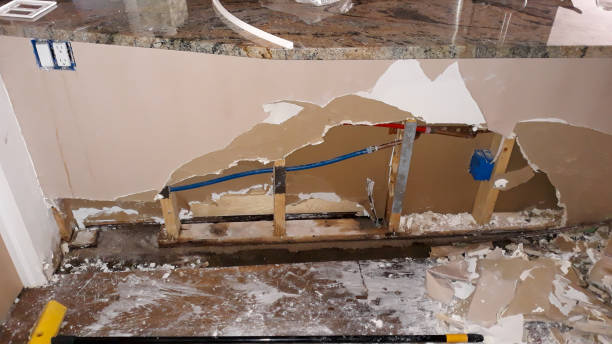 Best Basement water damage restoration  in Schnecksville, PA