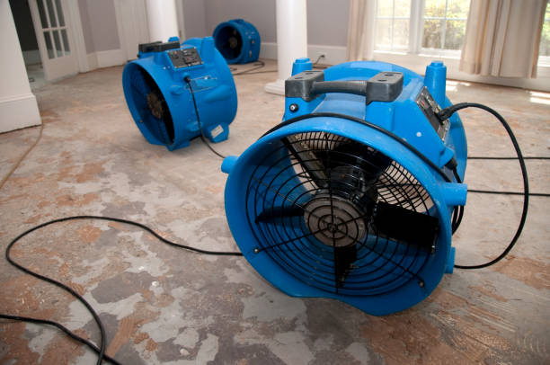  Schnecksville, PA Water damage restoration Pros