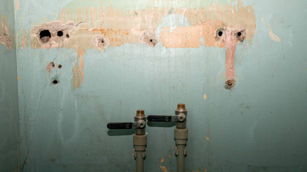Best Residential water damage restoration  in Schnecksville, PA