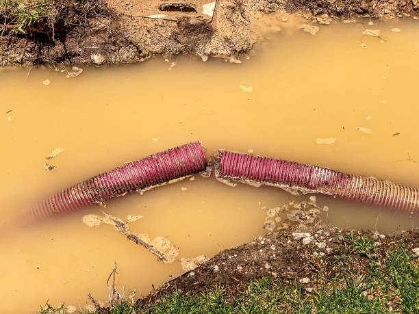 Best Flood damage cleanup  in Schnecksville, PA