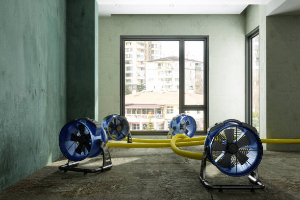 Best Carpet water damage restoration  in Schnecksville, PA
